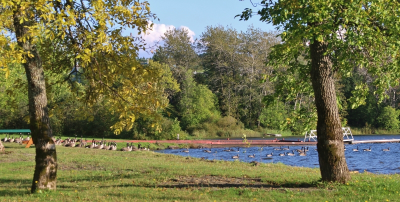 Plage_├á_la_municipalit├®_de_Lac-des-Aigles_20_septembre_2016.JPG